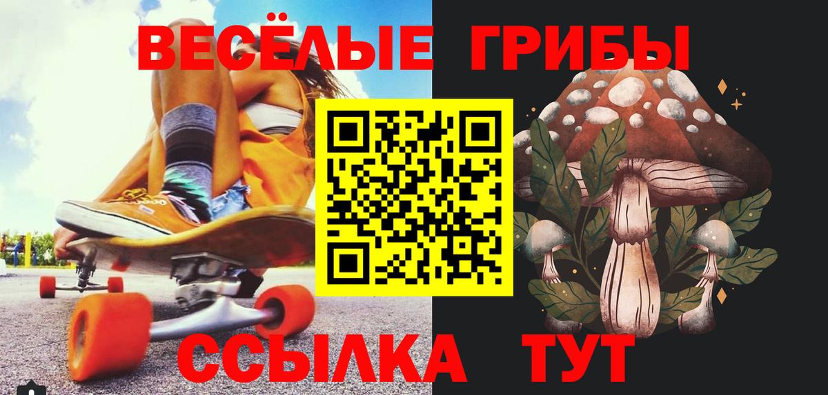 Галлюциногенные грибы прущие грибы Пугачёв