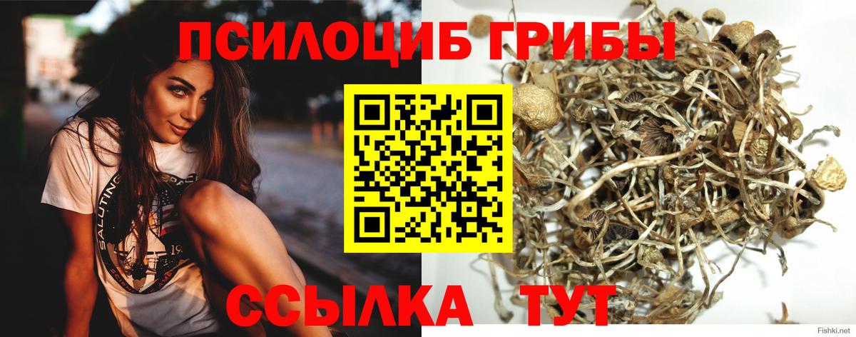 ГАШИШ Пугачёв