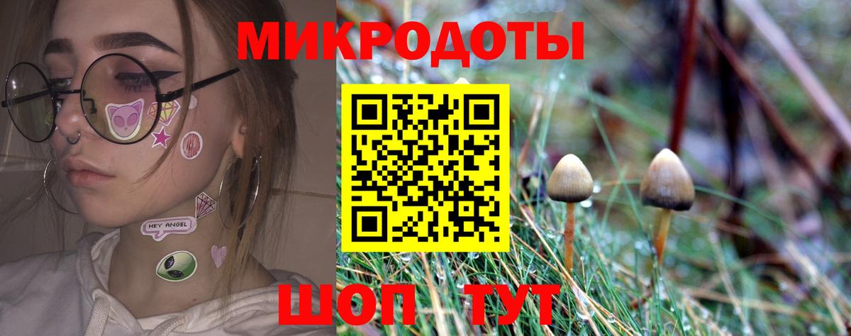закладка  Вход с VPN  Пугачёв  Галлюциногенные грибы Magic Shrooms 